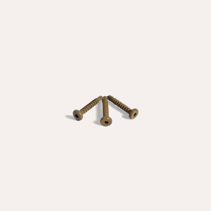 Kleurkopschroef Eiken rvs 4,2 x 25 mm (50 st.)
