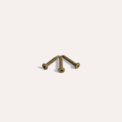 Kleurkopschroef Eiken rvs 4,2 x 25 mm (50 st.)