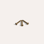 Kleurkopschroef Eiken rvs 4,2 x 25 mm (50 st.)